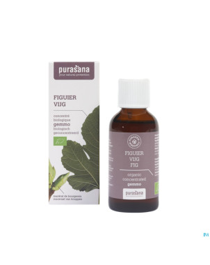 Purasana puragem figuier    50ml