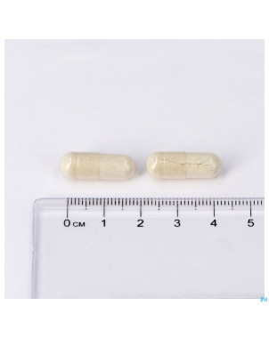 Silica v-caps 60 lepivits