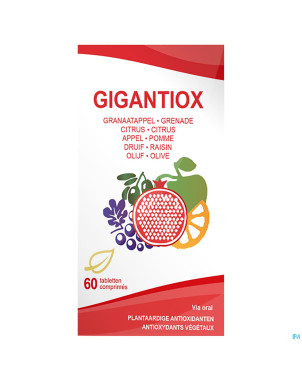 Soria gigantiox    comp 60