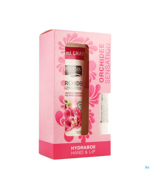 Bodysol hydrabox orchid hand 100ml & lip 4,8g