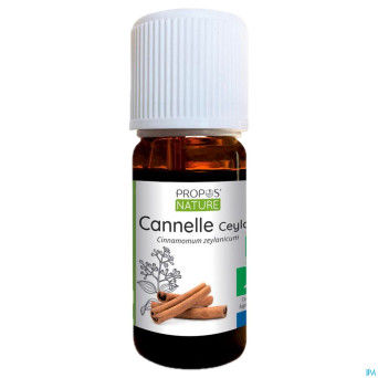 Cannelle de ceylan huile ess 10ml