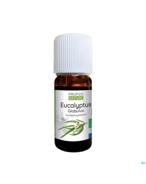 Eucalyptus globulus    huile ess 10ml