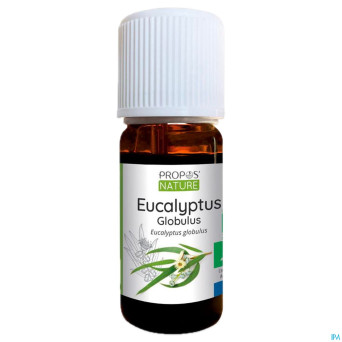 Eucalyptus globulus    huile ess 10ml
