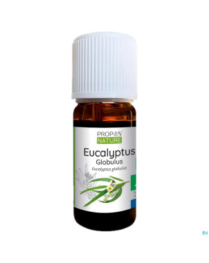 Eucalyptus globulus    huile ess 10ml