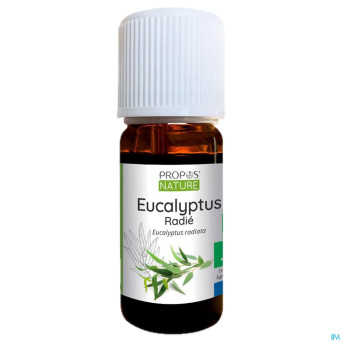 Eucalyptus radie    huile ess 10ml