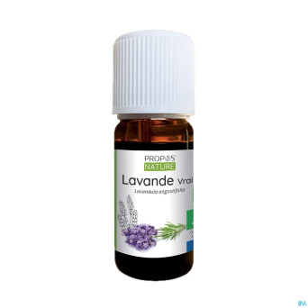Lavande vraie    huile ess 10ml