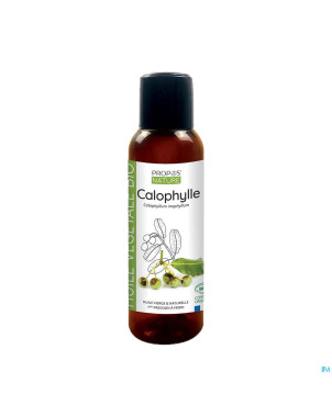Calophylle huile veget. 100ml