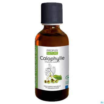 Calophylle huile veget. 100ml