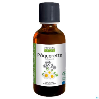 Paquerette macerat huileux 100ml