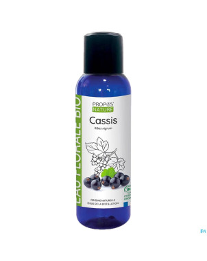 Cassis hydrolat 100ml