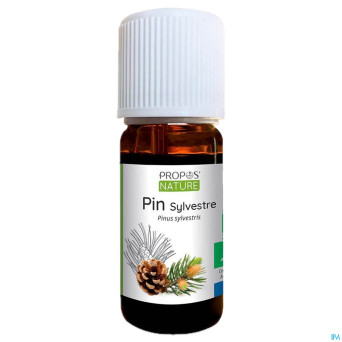 Pin sylvestre    huile ess 10ml
