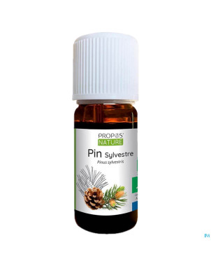 Pin sylvestre    huile ess 10ml