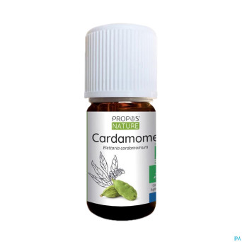 Cardamome    huile ess 5ml
