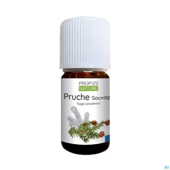 Pruche    huile ess 5ml
