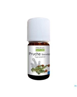 Pruche    huile ess 5ml