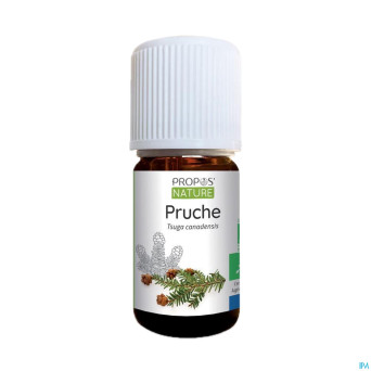 Pruche    huile ess 5ml
