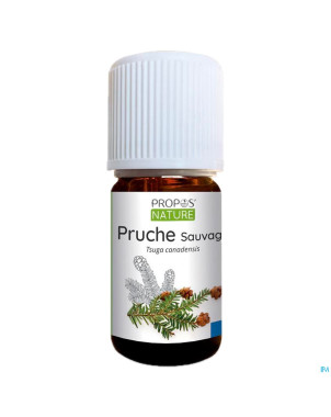 Pruche    huile ess 5ml
