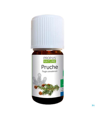 Pruche    huile ess 5ml