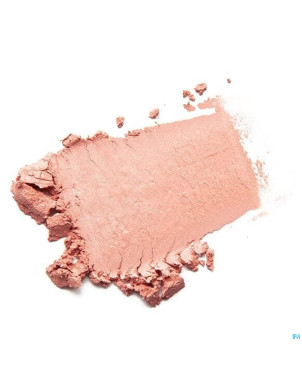 Cent pur cent blush mineral pdre libre rose    7g