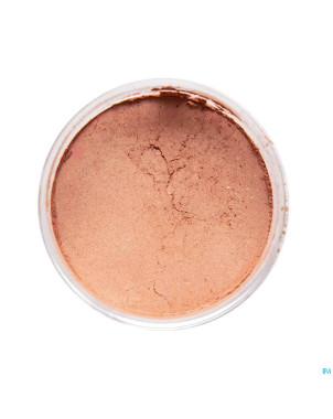 Cent pur cent bronzer mineral pdr libre bronze  7g