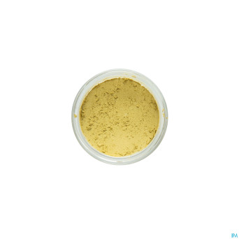 Cent pur cent poudre mineral couleur jardin    2g