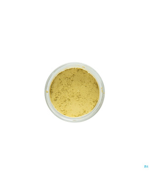 Cent pur cent poudre mineral couleur jardin    2g