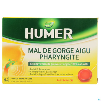 Humer pharyngite fruits rouges    past  20