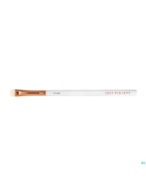 Cent pur cent pinceau oeil smudge