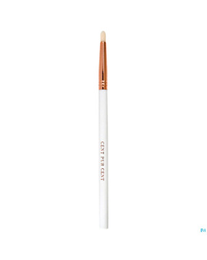 Cent pur cent pinceau oeil pointed