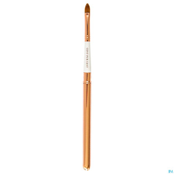 Cent pur cent pinceau rouge a levres