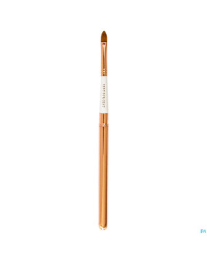 Cent pur cent pinceau rouge a levres