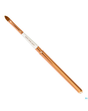 Cent pur cent pinceau rouge a levres