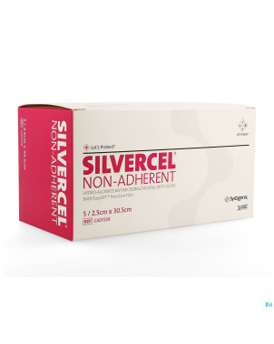 Silvercel na pans hydroalginate 2x30cm 5   cad7230