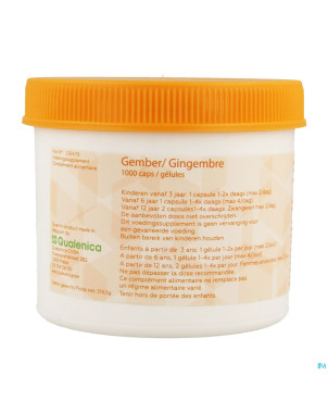 Gingembre    caps 1000 magis