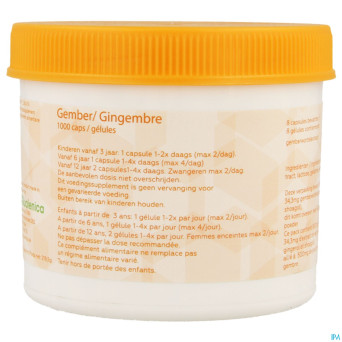 Gingembre    caps 1000 magis