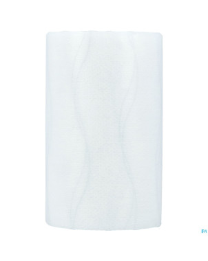 Hypafix skin sensitive    10cmx2m 1 7996604