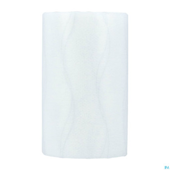 Hypafix skin sensitive    10cmx2m 1 7996604