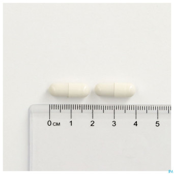 Cogniton focus    caps  60