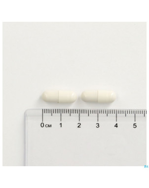 Cogniton focus    caps  60