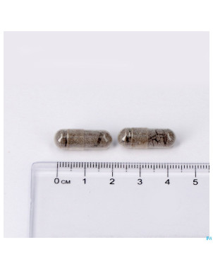 Millepertuis plus caps 120 lepivits