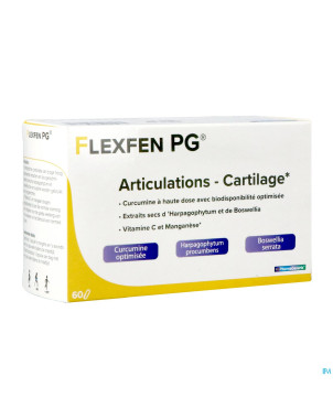 Flexfen pg pharmagenerix blister caps  60