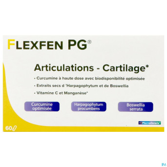 Flexfen pg pharmagenerix blister caps  60