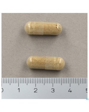 Aquaril nf    v-caps  90    nutrisan