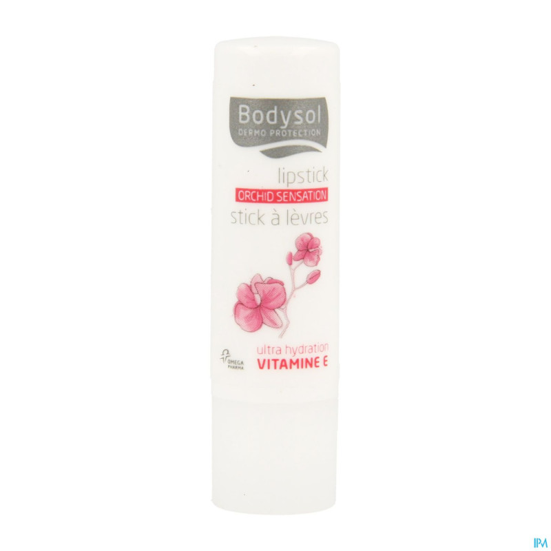 Bodysol stick levres repar. orchid    4,8g