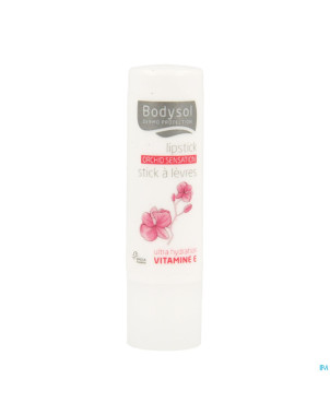 Bodysol stick levres repar. orchid    4,8g