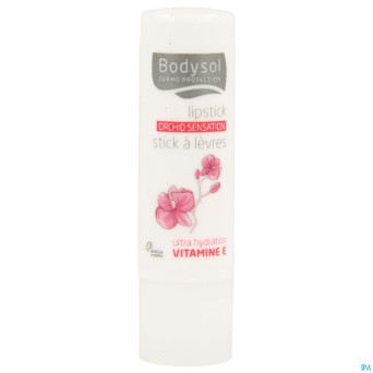Bodysol stick levres repar. orchid    4,8g