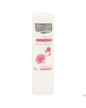 Bodysol stick levres repar. orchid    4,8g
