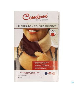 Cameleone minerve bordeaux    m 1 q05034