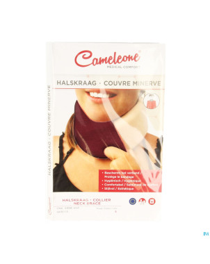Cameleone minerve bordeaux    s 1 q05033
