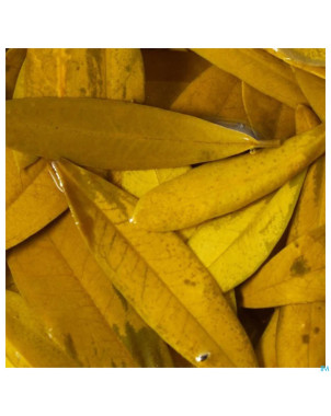 Olivier    glyc.mac 30ml